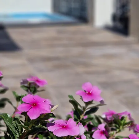 Villa Del Parque Flats Balneario De Pina Malaga